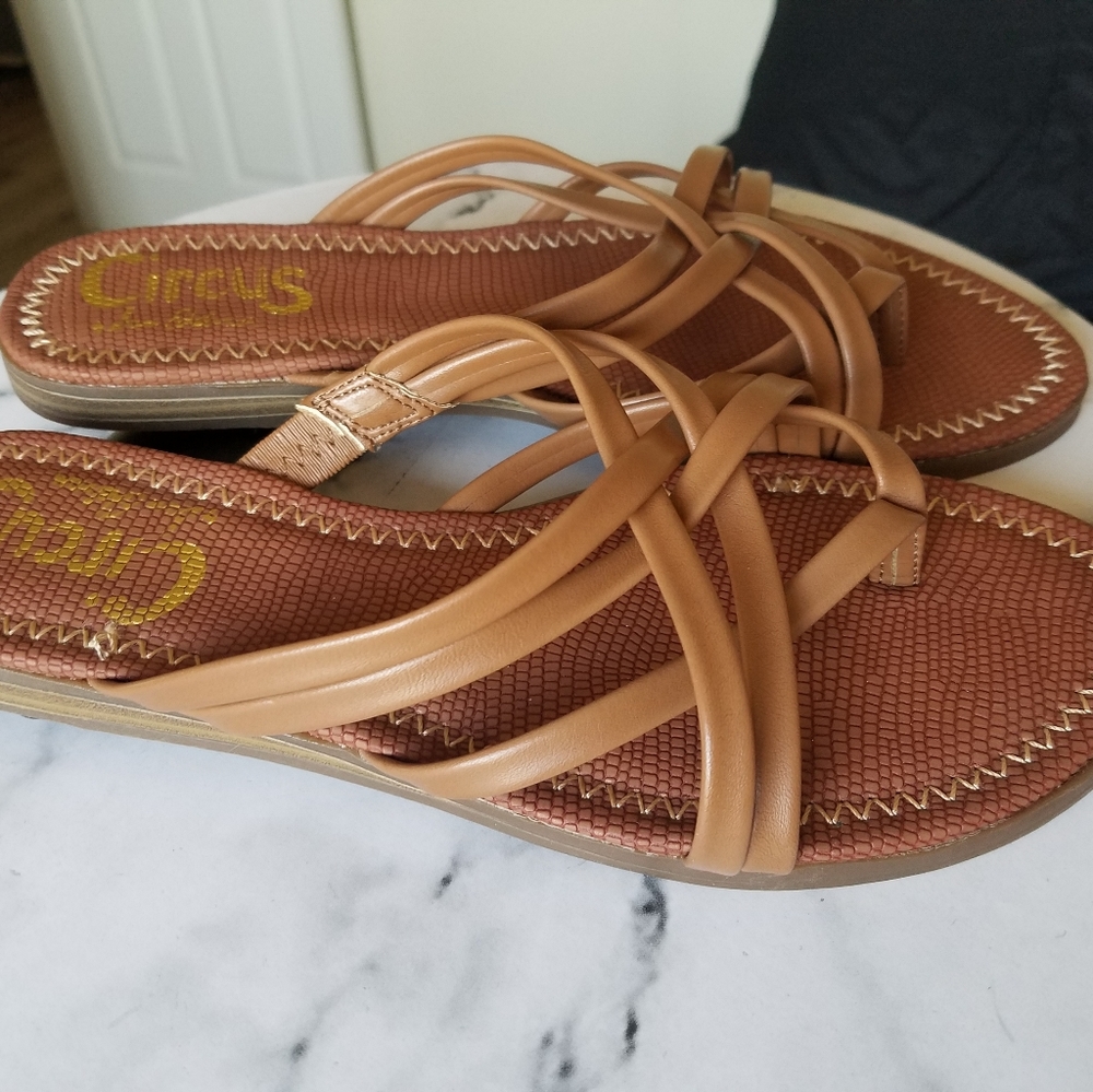 Women Circus by Sam Edelman Brown Sandals